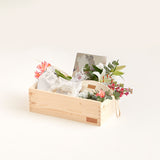 Baby Care Essenziale